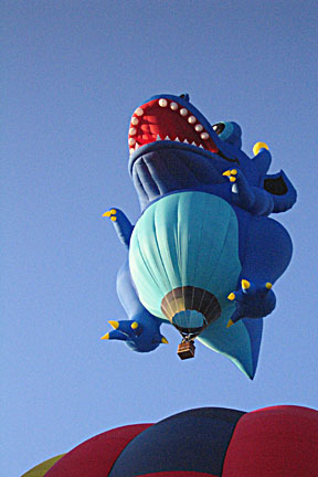 image bIMG_1148.jpg