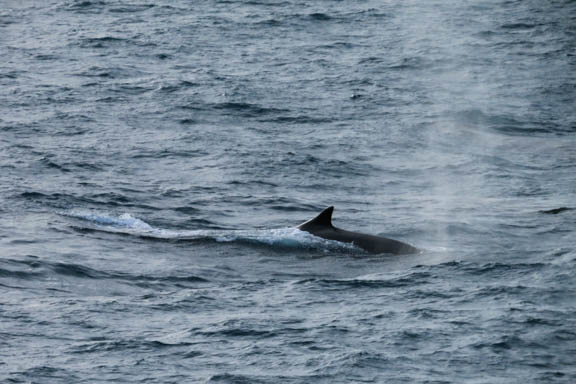 image b-arctic-52.jpg
