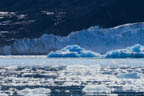 s-arctic-33.jpg