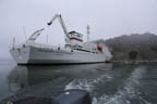 s-arctic-41.jpg