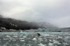 s-arctic-45.jpg