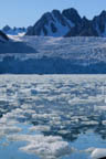 s-arctic-49.jpg