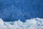 s-arctic-50.jpg