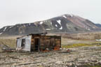 s-arctic-51.jpg