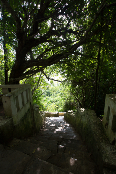 image bLV-0016.jpg