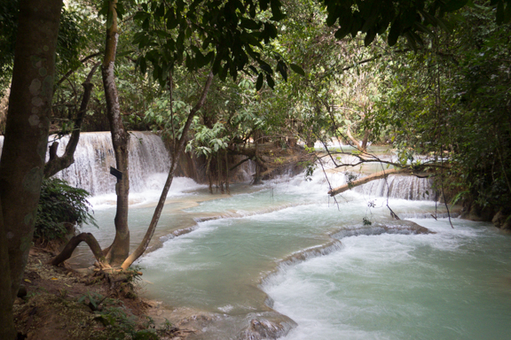 image bLV-0022.jpg