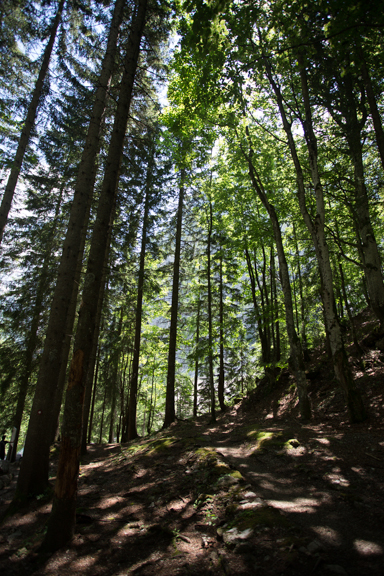 image bB-0063.jpg
