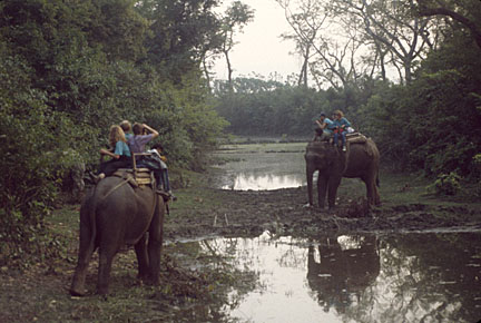 image bFDS050315220157.jpg