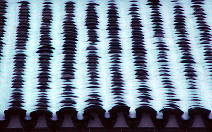 image bDSC00286.jpg