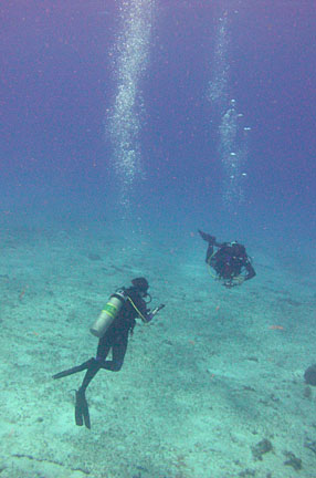 image bCf_10101421k.jpg