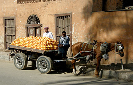 image b4Lm_PC280246_k.jpg