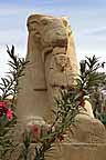s4Lk1_PC290322_k_v.jpg