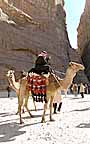 s5Jp5_P1020519_k_v.jpg