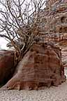 s5Jr3_P1010454_k_v.jpg