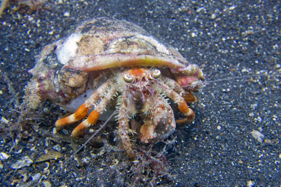 image b-indonesia-49.jpg