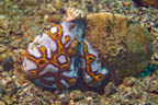 s-indonesia-79.jpg