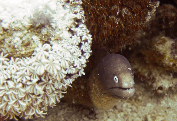 image b-philippines-13.jpg