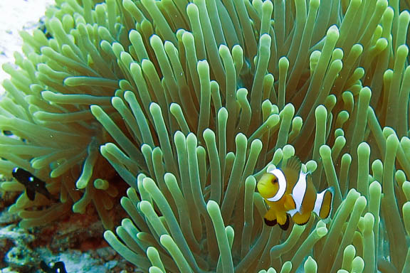 image b-philippines-16.jpg