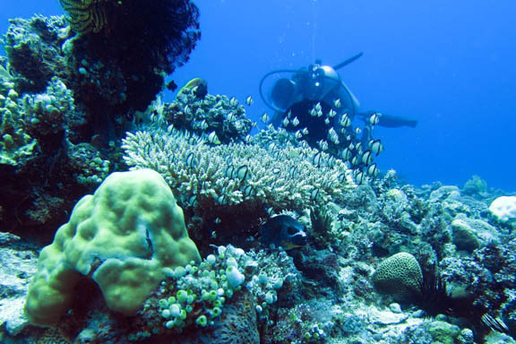 image b-philippines-19.jpg