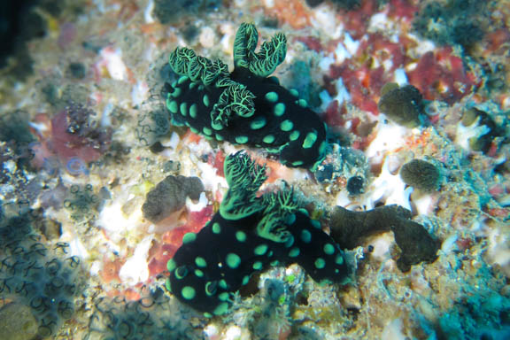 image b-philippines-24.jpg