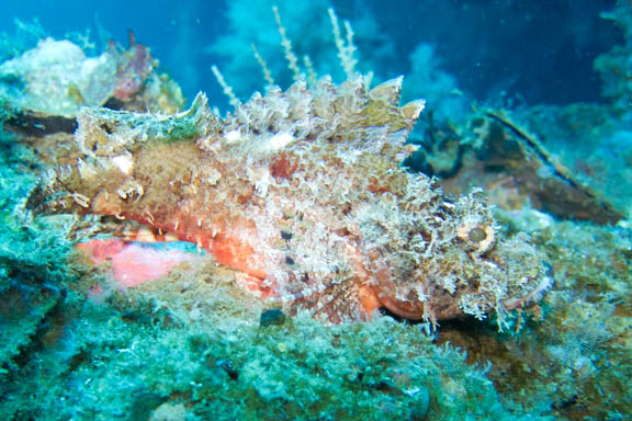 image b-philippines-29.jpg