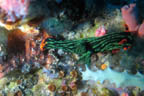 s-philippines-25.jpg