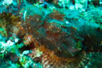 s-philippines-27.jpg