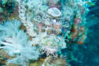 s-philippines-30.jpg