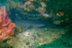 s-philippines-33.jpg