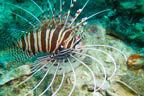 s-philippines-34.jpg