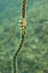 s-philippines-35.jpg