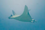s-philippines-37.jpg