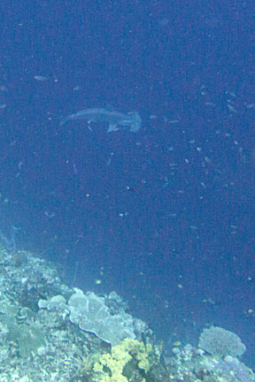 image bIMG_0182K.jpg
