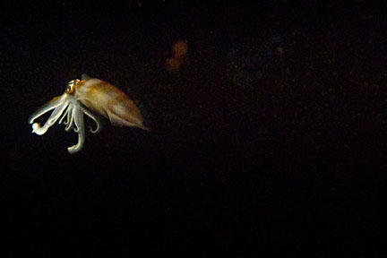 image bIMG_0343K.jpg
