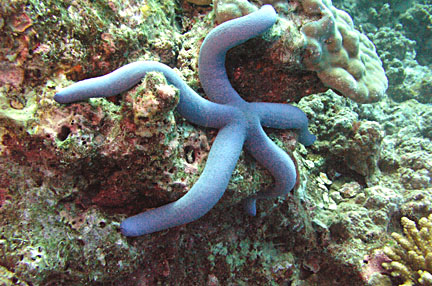 image bP1012881-2.jpg