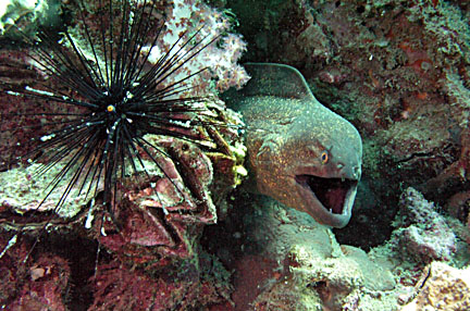 image bP1012941-2.jpg